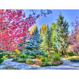 All Jigsaw Puzzles All Jigsaw Puzzles Colourful Trees Legpuzzel 1000 Stukjes All Jigsaw Puzzles All Jigsaw Puzzles Colourful Trees Legpuzzel 1000 Stukjes