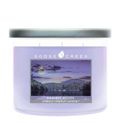 Goose Creek Candle Goose Creek 3 Wick Tumbler Harvest Moon Goose Creek Candle Goose Creek 3 Wick Tumbler Harvest Moon