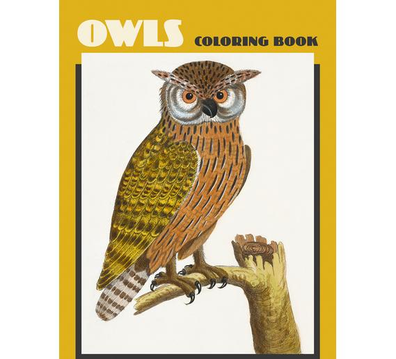 owls-coloring-book-44.jpg