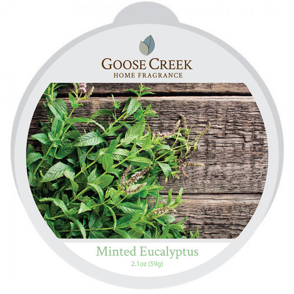 Goose Creek Candle Wax Melts Minted Eucalyptus goose creek candle kopen in de aanbieding Goose Creek Candle Wax Melts Minted Eucalyptus goose creek candle kopen in de aanbieding