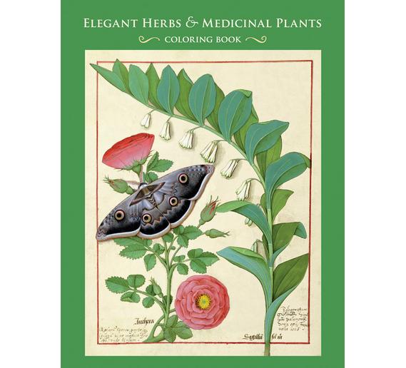 elegant-herbs-medicinal-plants-coloring-book-12.jpg
