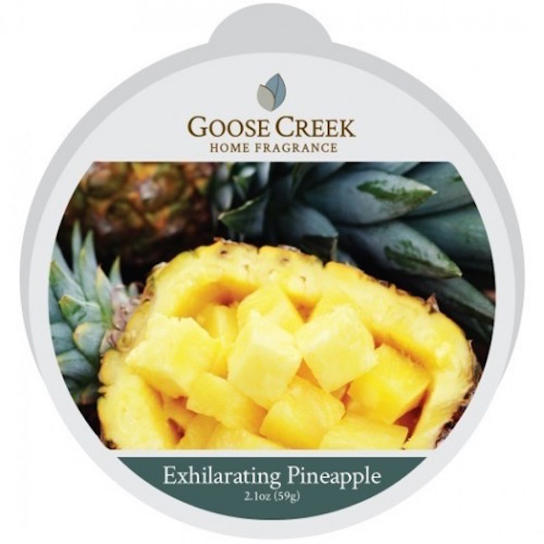 Goose Creek Candle Losse Wax Melt Exhilarating Pineapple goose creek candle kopen in de aanbieding Goose Creek Candle Losse Wax Melt Exhilarating Pineapple goose creek candle kopen in de aanbieding