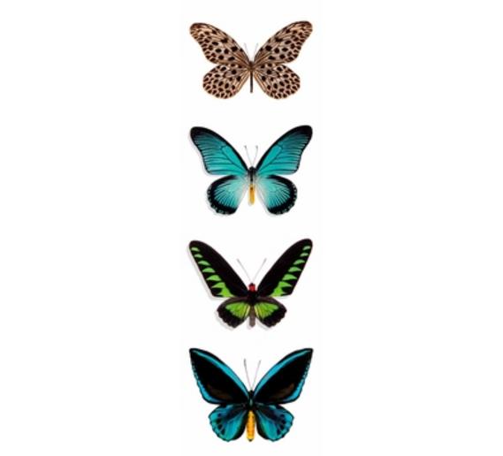 butterflies_II_bookmark.jpg