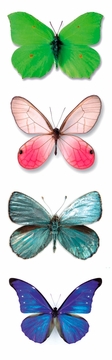 Christopher Marley Butterflies I Boekenlegger