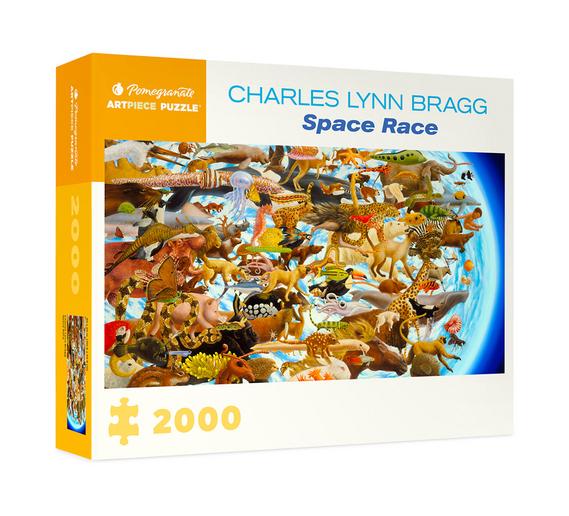 charles-lynn-bragg-space-race-2000-piece-jigsaw-puzzle-21.jpg