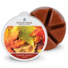 Goose Creek Candle Wax Melts Crunchy Leaves goose creek candle kopen in de aanbieding Goose Creek Candle Wax Melts Crunchy Leaves goose creek candle kopen in de aanbieding