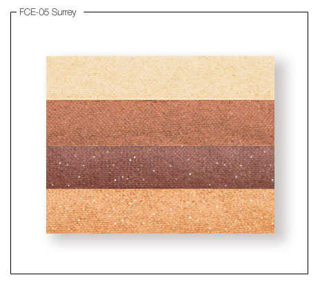 Prestige Cosmetics Oogschaduwpalet Surrey prestige cosmetics kopen in de aanbieding