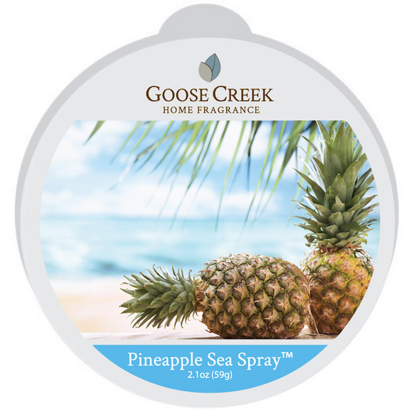 Goose Creek Candle Losse Wax Melt Pineapple Sea Spray goose creek candle kopen in de aanbieding Goose Creek Candle Losse Wax Melt Pineapple Sea Spray goose creek candle kopen in de aanbieding