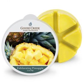 Goose Creek Wax Melts Exhilarating Pineapple
