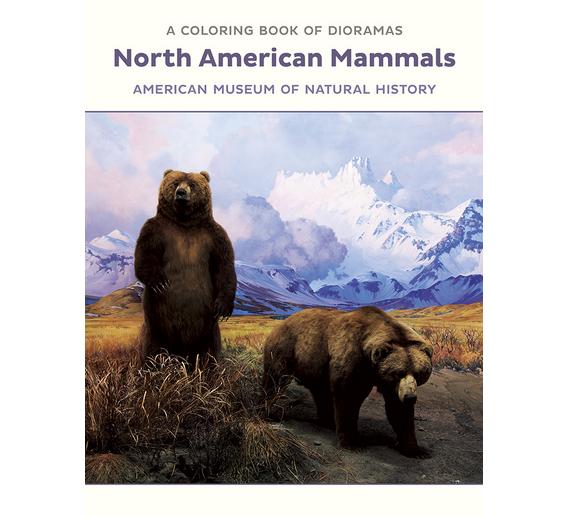 north-american-mammals-dioramas-176.jpg